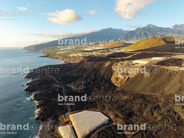 Las nuevas fajanas de La Palma
