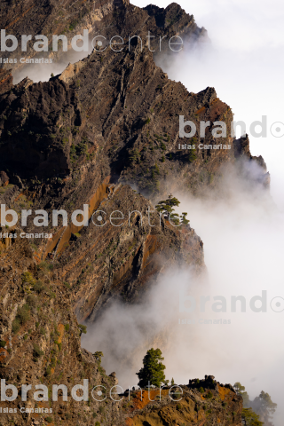 el borde de la Caldera de Taburiente