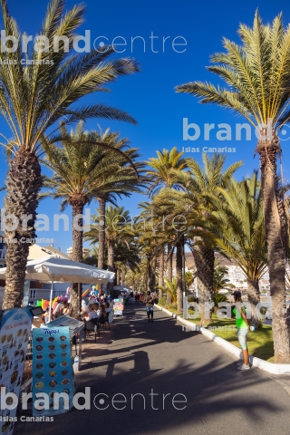 Las Vistas Beach Las Vistas Beach