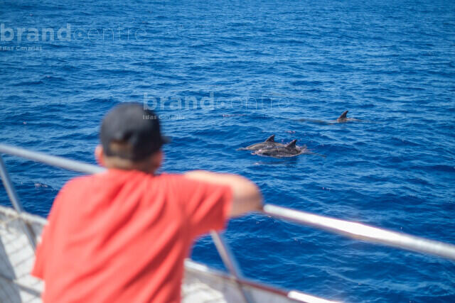 Iniciativas Medioambientales_Ocean Explorer_La Palma