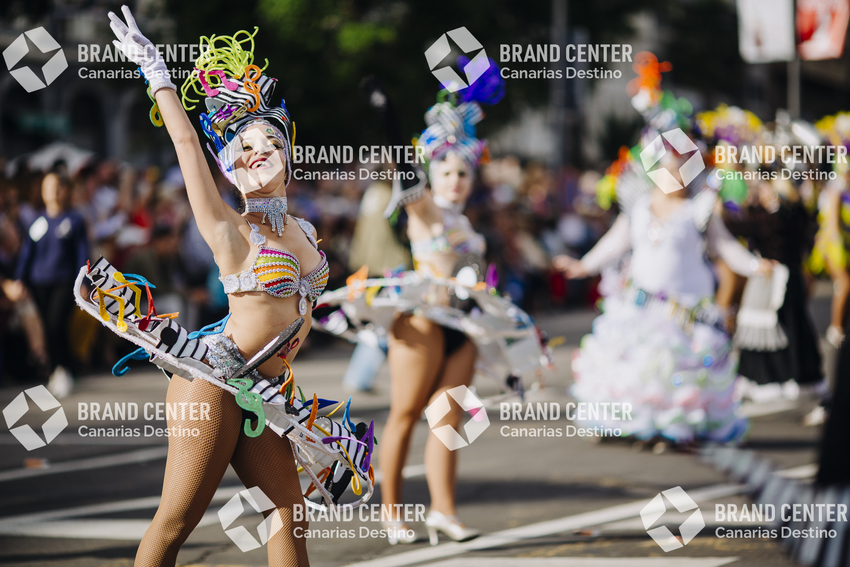 Carnaval de Santa Cruz de Tenerife