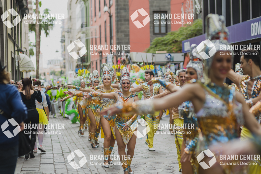 Carnaval de Santa Cruz de Tenerife