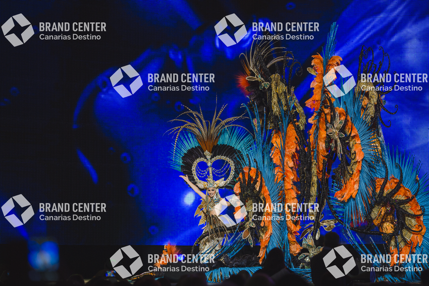 Carnaval de Santa Cruz de Tenerife