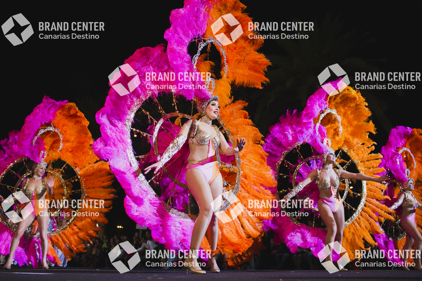 Carnaval de Santa Cruz de Tenerife