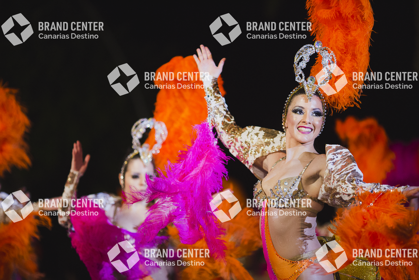 Carnaval de Santa Cruz de Tenerife