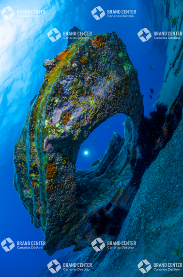 Fondo Submarino. Montaña Amarilla