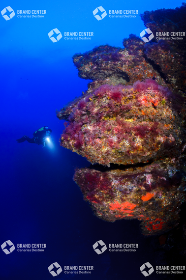 Reserva marina Punta Restinga, Mar de Las Calmas 