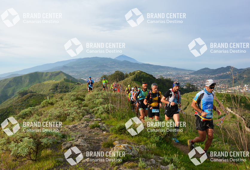 Tenerife International Marathon K42