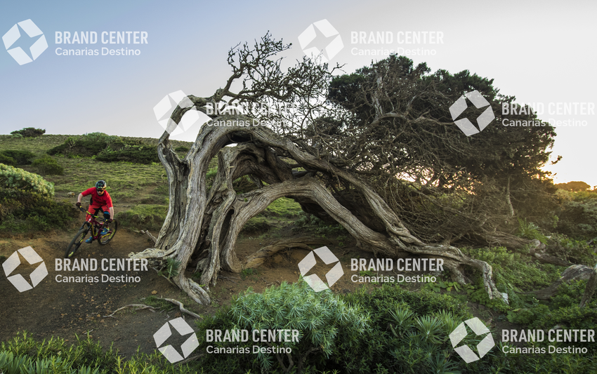 Jordi Bagó in mountainbike by El Hierro