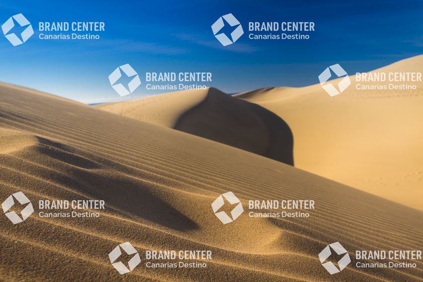 Maspalomas Dunes Special Natural Reserve