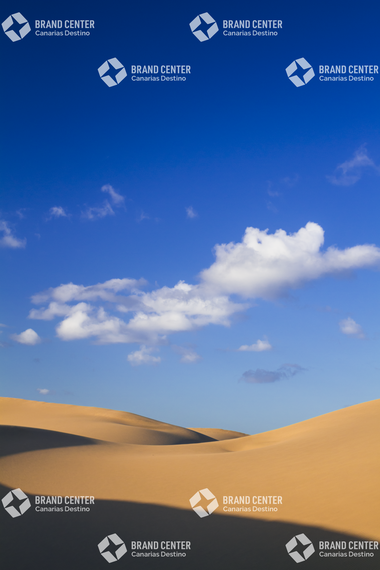 Maspalomas Dunes Special Natural Reserve