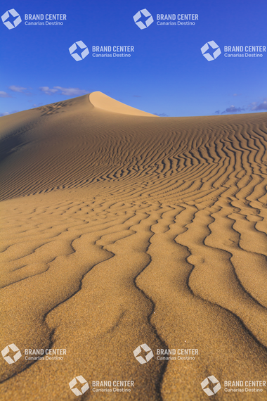Maspalomas Dunes Special Natural Reserve