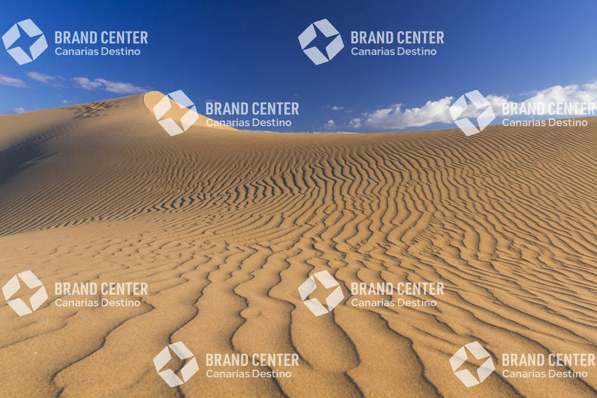 Reserva Natural Especial de las Dunas de Maspalomas