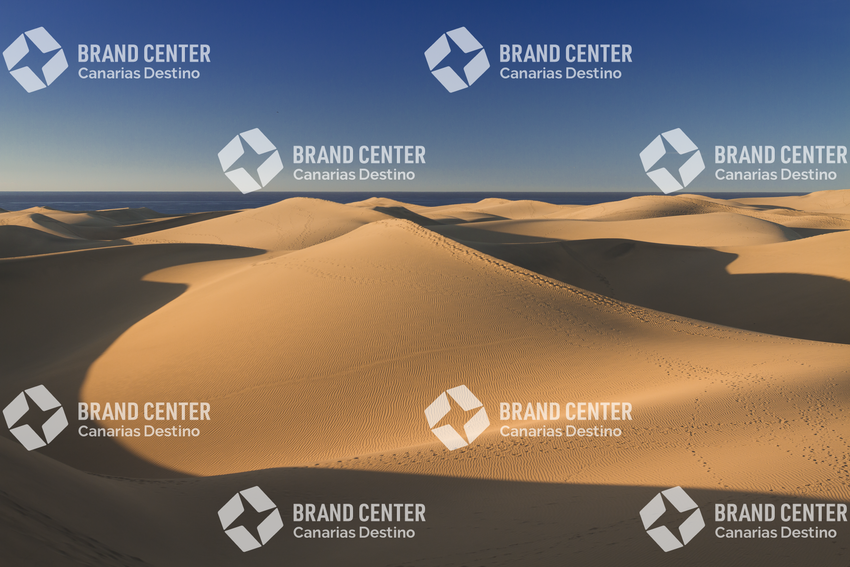 Reserva Natural Especial de las Dunas de Maspalomas