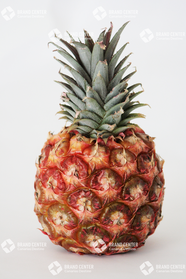 Piña tropical