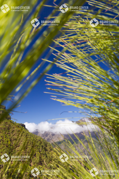 Parque Nacional de La Caldera de Taburiente