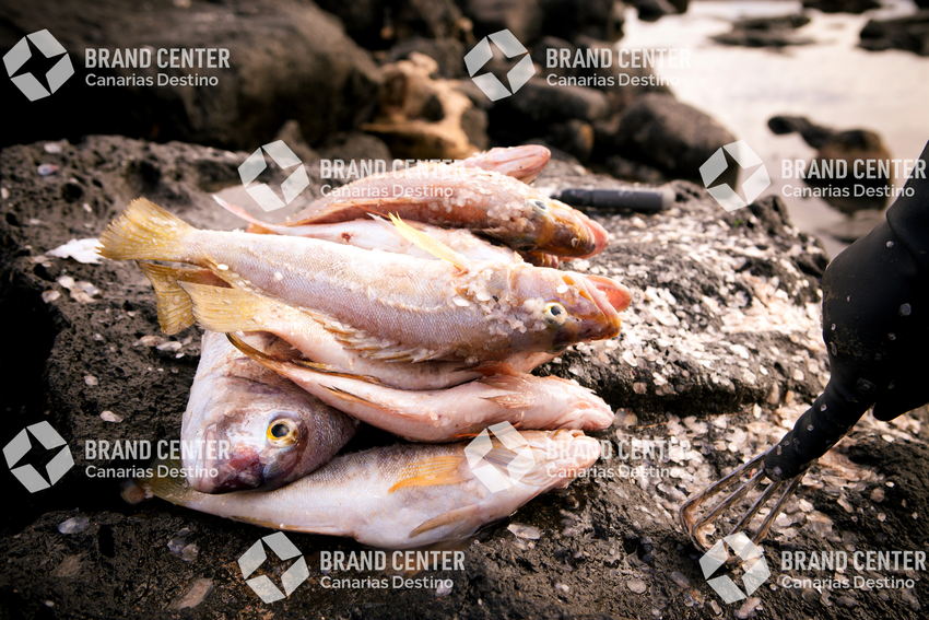 Pescados