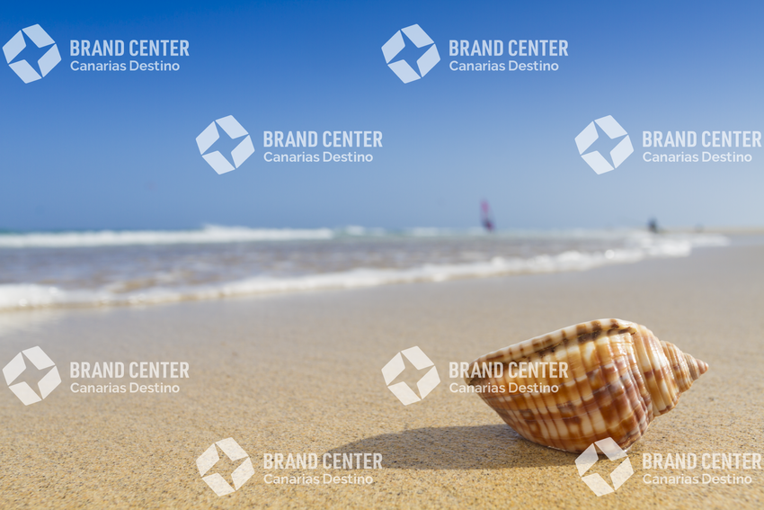 La Barca Beach. Jandía Natural Park	