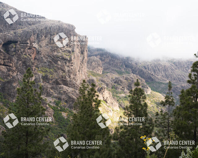 Roque Nublo