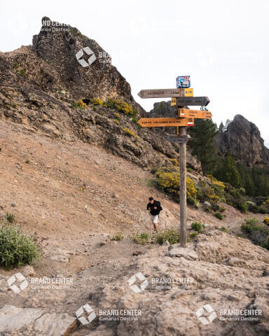Roque Nublo