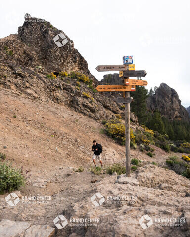 Roque Nublo