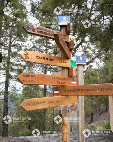 Roque Nublo