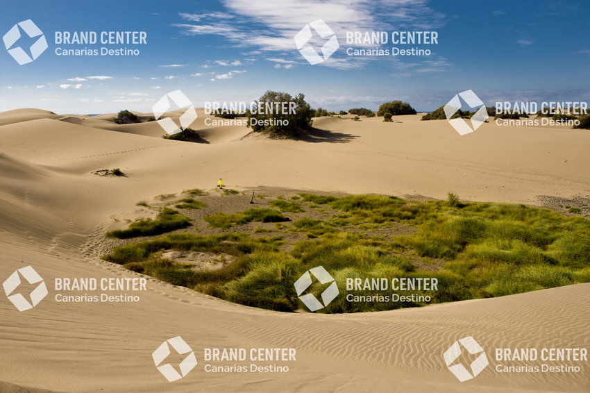 Dunas de Maspalomas