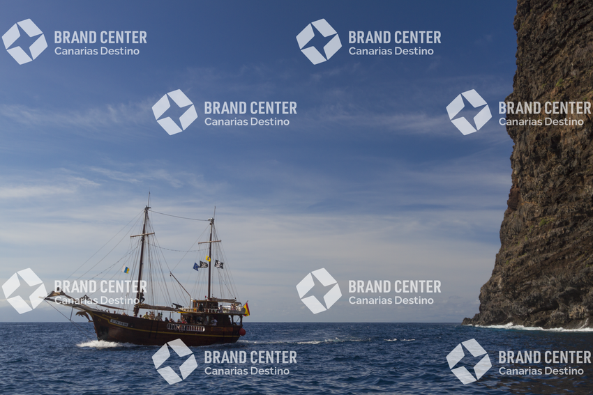 Kayak tour of Los Gigantes