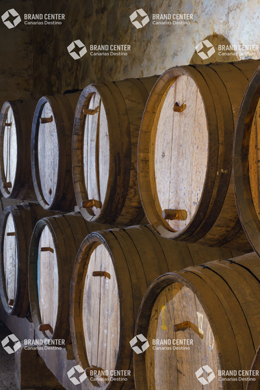Bodegón Vandama