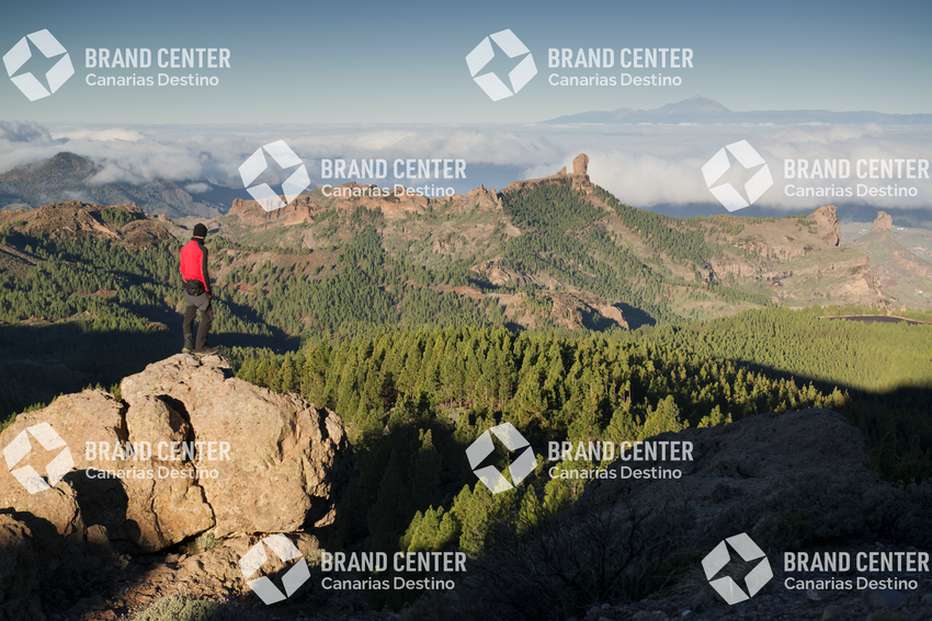 Roque Nublo