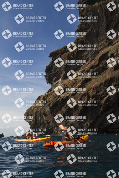 Excursión en kayak por Los Gigantes