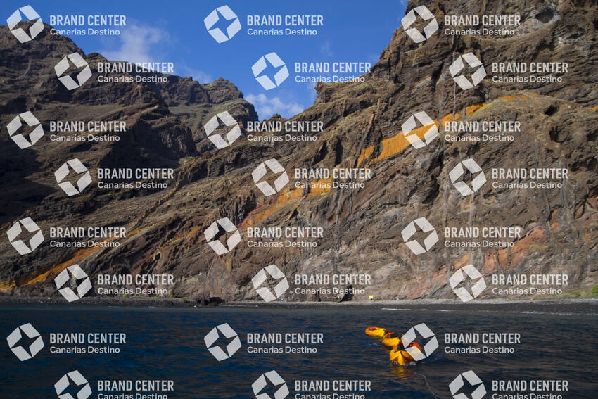 Kayak excursion through Los Gigantes