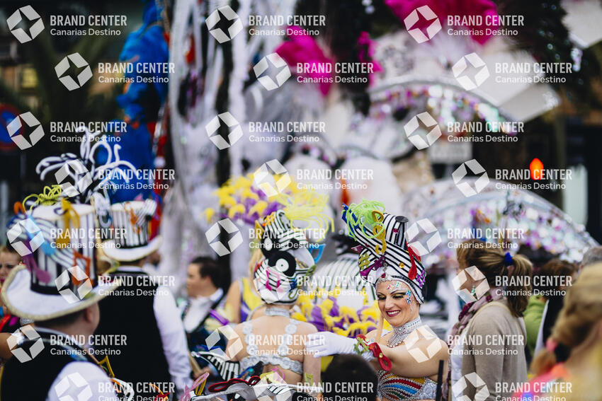Carnaval de Santa Cruz de Tenerife