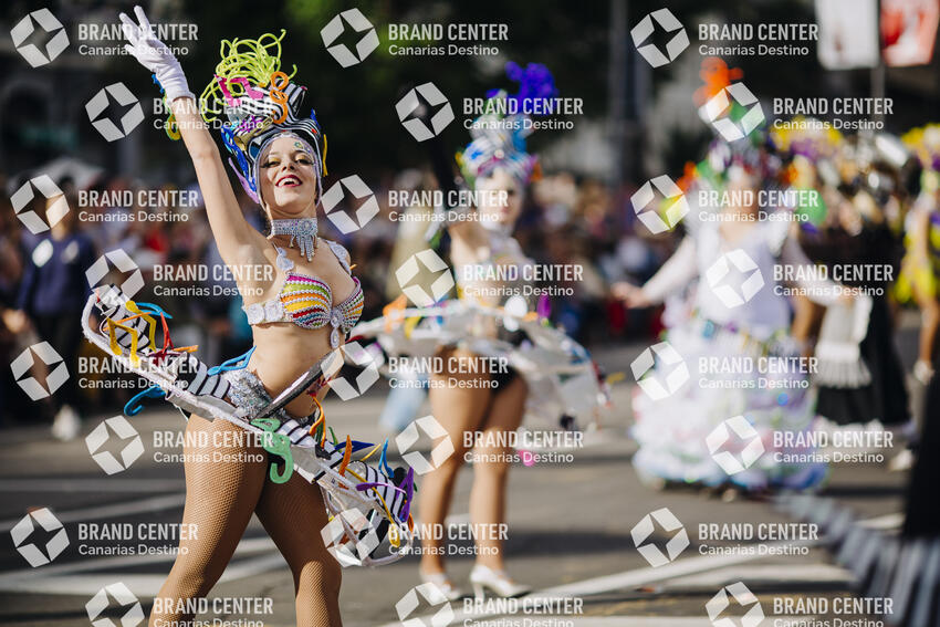 Santa Cruz de Tenerife Carnival