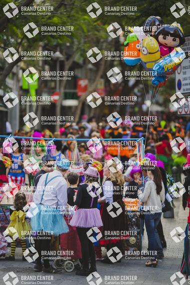 Carnaval de Santa Cruz de Tenerife