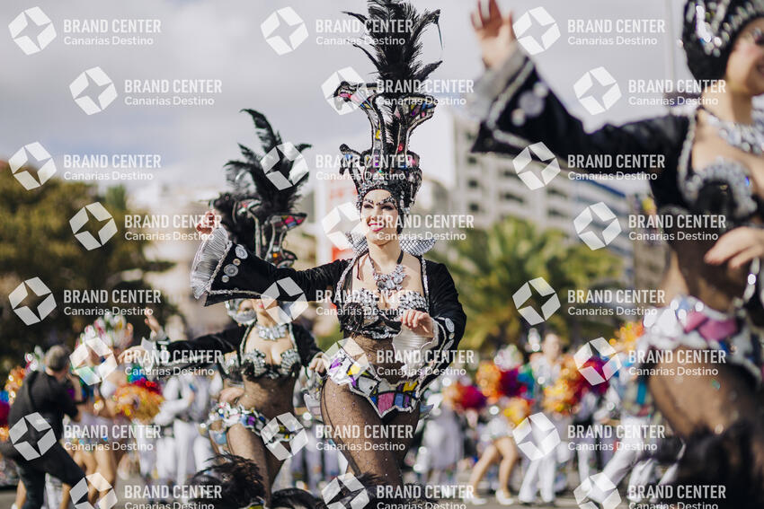 Santa Cruz de Tenerife Carnival