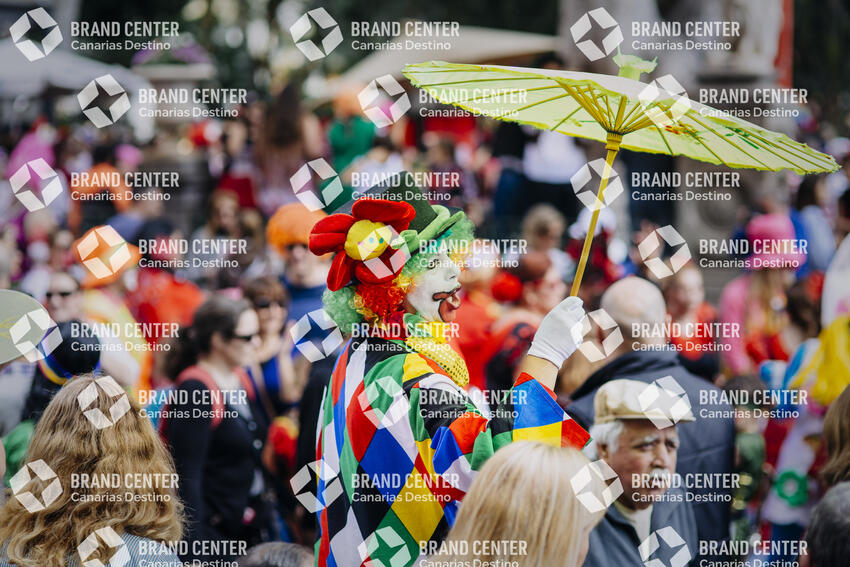 Santa Cruz de Tenerife Carnival