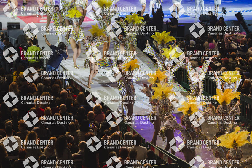 Santa Cruz de Tenerife Carnival