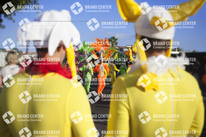 Carnaval de Las Palmas de Gran Canaria