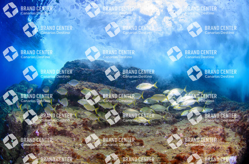 Underwater background. Cave Beach.