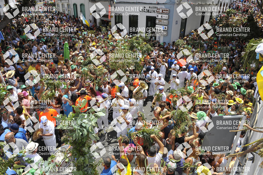 Fiesta de la Rama