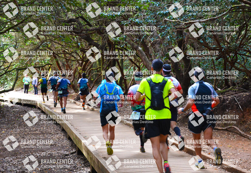 Tenerife International Marathon K42