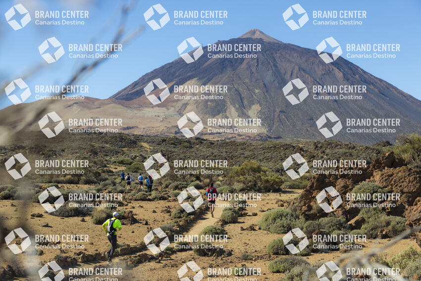 Tenerife Blue Trail