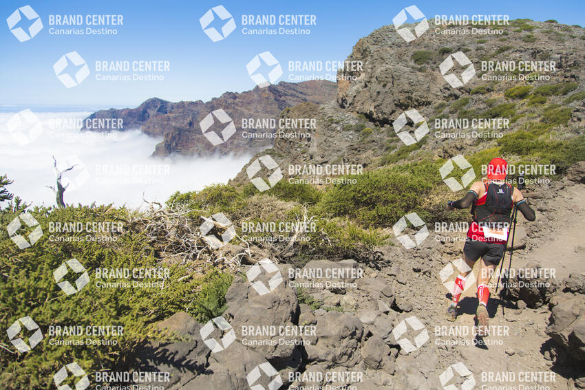Transvulcania