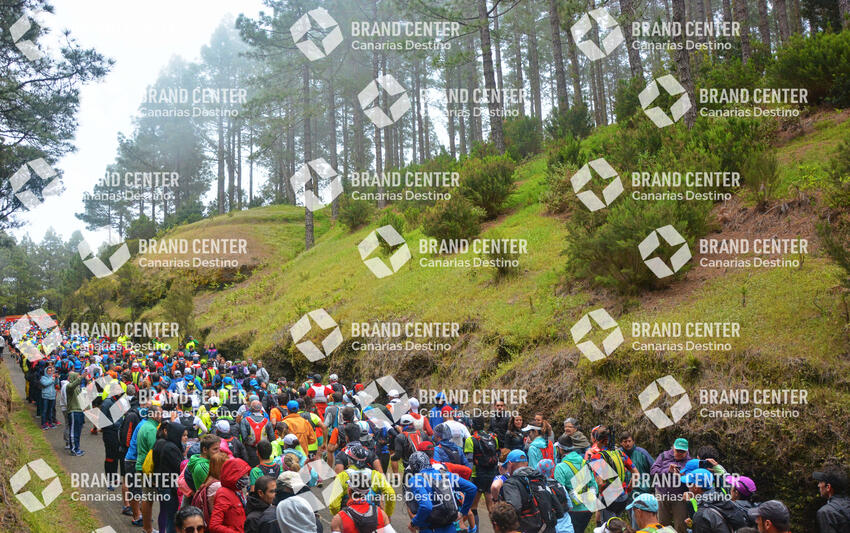Transvulcania