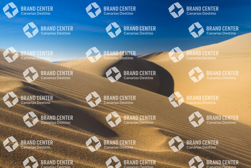 Maspalomas Dunes Special Natural Reserve