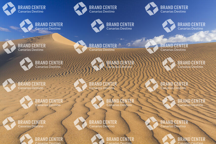 Maspalomas Dunes Special Natural Reserve