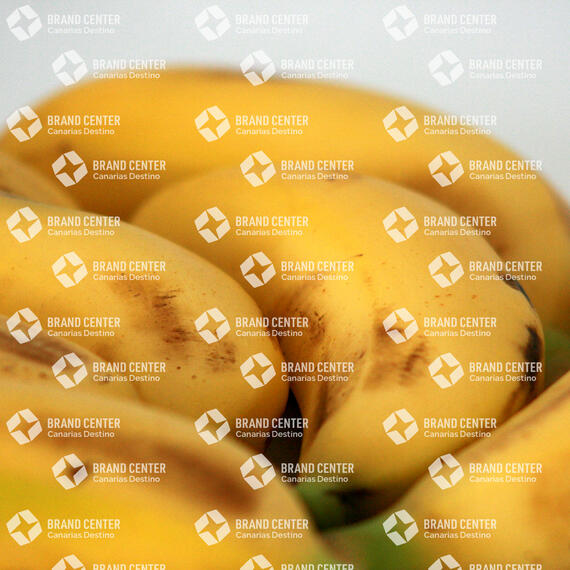 Plátano de Canarias