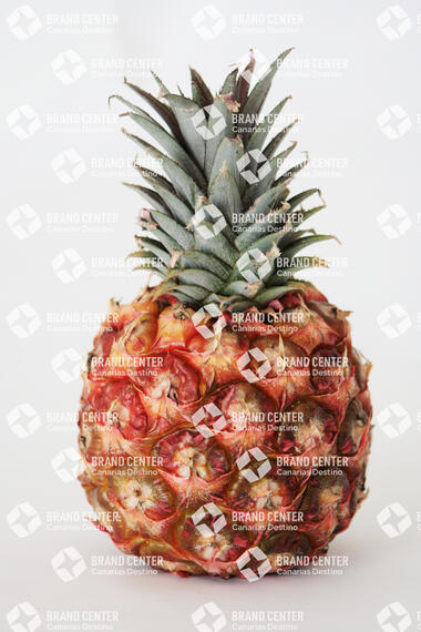 Tropical pineapple