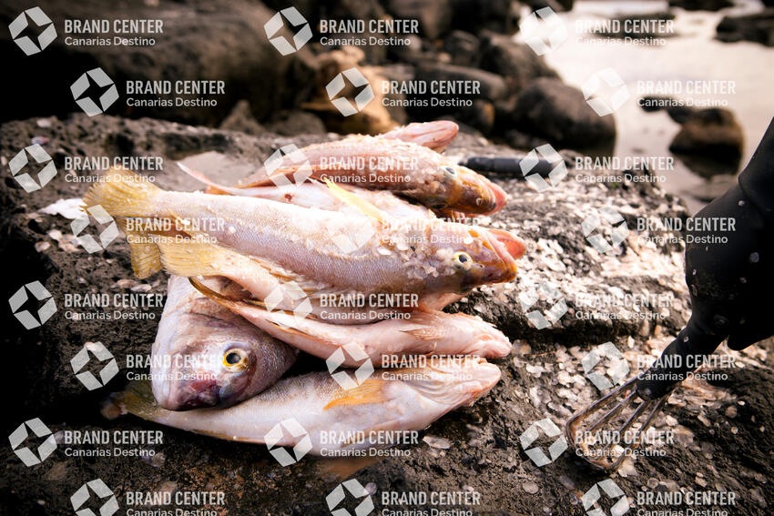 Pescados